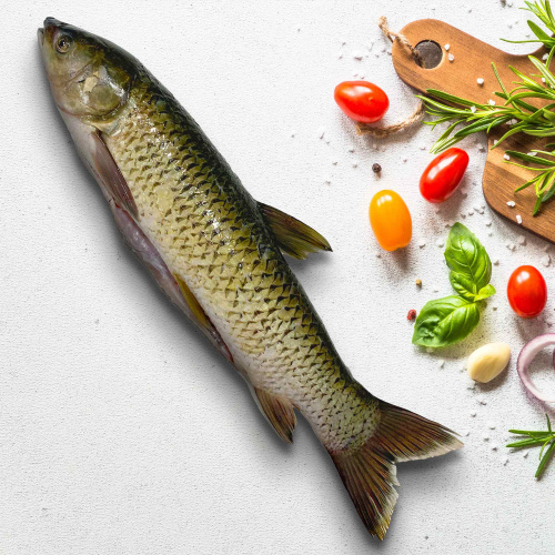 белый амур чищ1 (1)