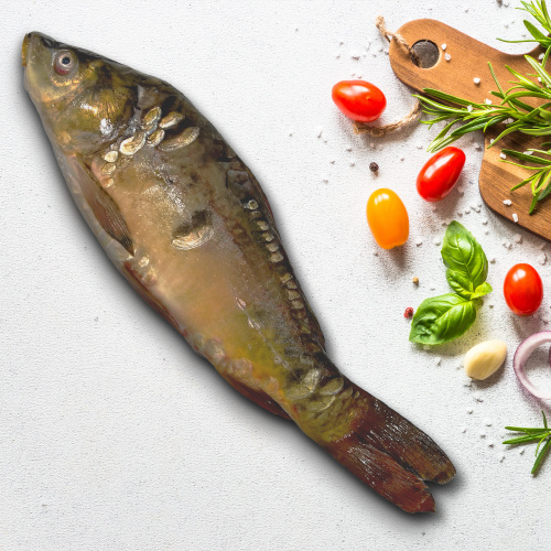 Карп зеркальный